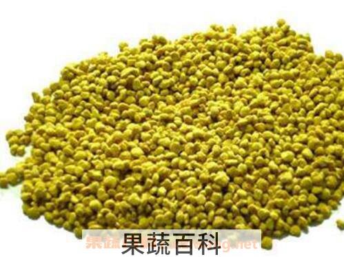 油菜花粉的功效与作用及食用方法
