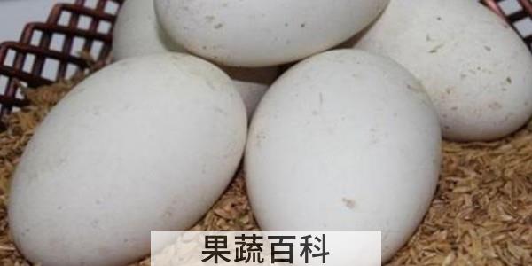 鹅蛋带壳蒸多久才熟