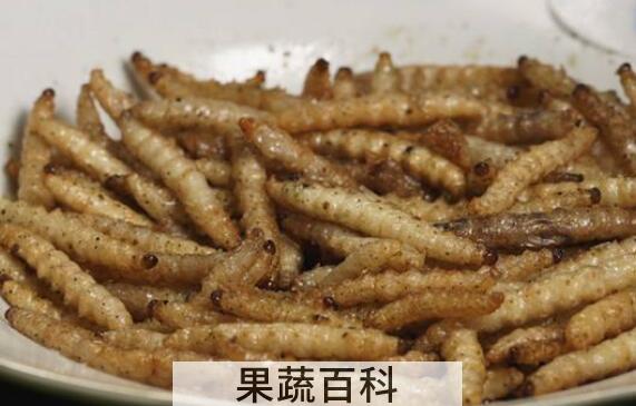 竹蛆怎么吃 竹蛆的食用方法