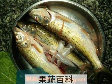 马郎鱼的功效营养与药用价值