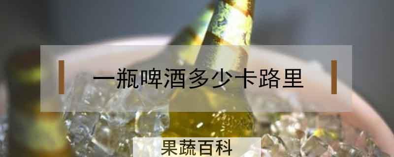 一瓶啤酒多少卡路里