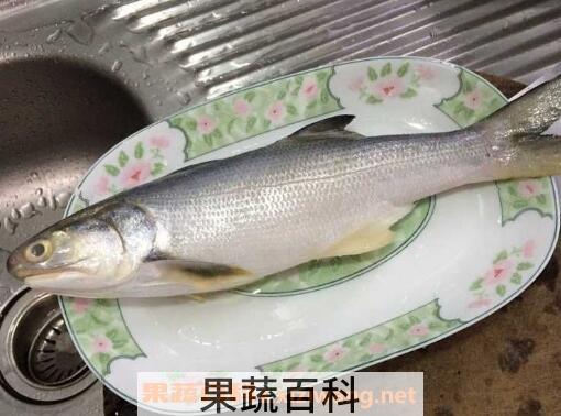 马友鱼的功效与作用