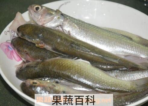 马友鱼的功效与作用