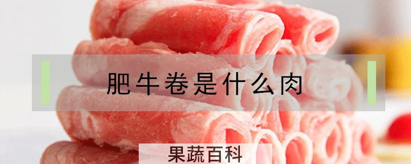 肥牛卷是什么肉