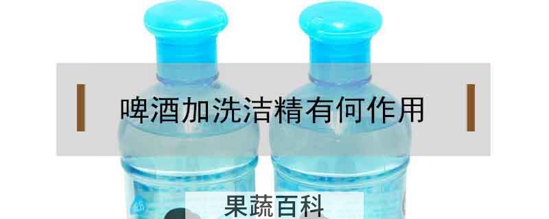 啤酒加洗洁精有何作用