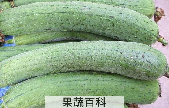 水瓜有什么作用和功效 水瓜是什么