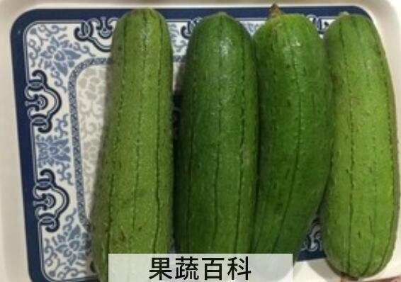 水瓜和丝瓜的区别 吃水瓜的好处
