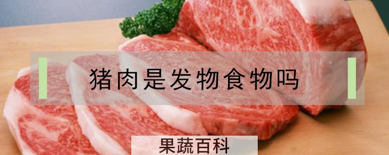 猪肉是发物食物吗