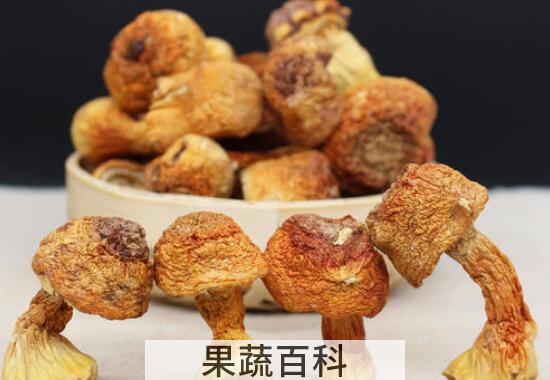 松菌菇怎么做好吃