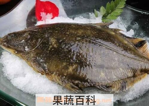 左口鱼的功效与作用