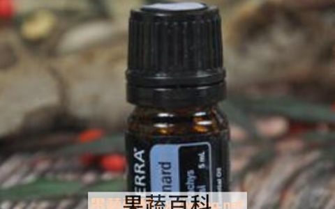 穗甘松精油怎么用 穗甘松精油功效与作用