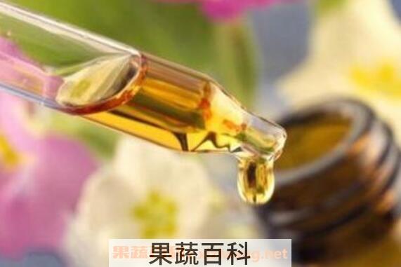 佛手柑精油的功效与作用 佛手柑精油使用禁忌