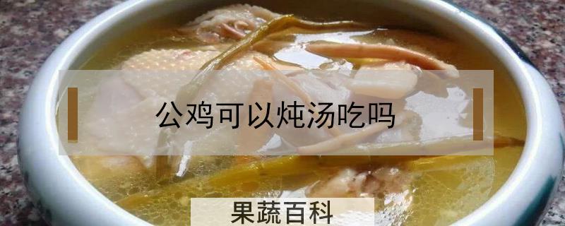 公鸡可以炖汤吃吗