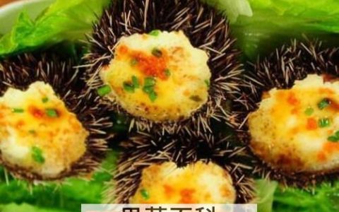 海胆怎么吃 海胆的吃法技巧