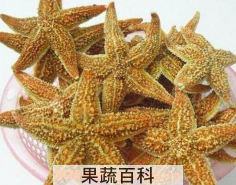 海星怎么吃 海星的吃法技巧