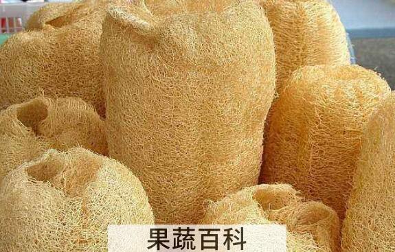 干丝瓜煮水的功效与作用