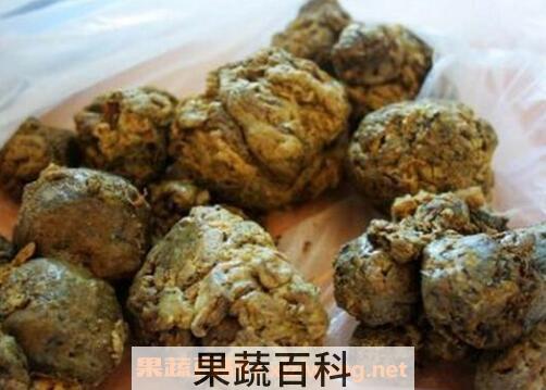 中华本草中蜂胶的八大功效