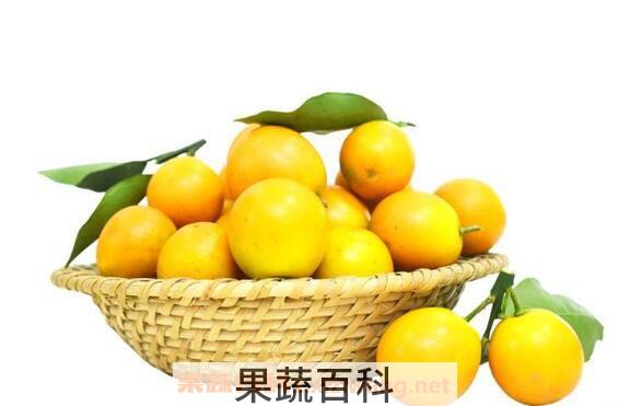 金橘精油的功效与作用
