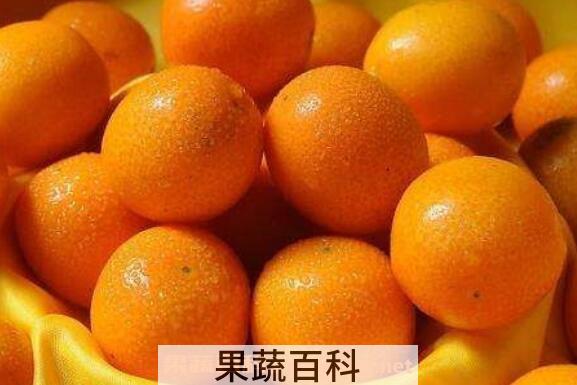 金橘精油的功效与作用