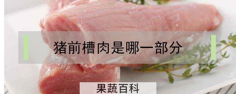 猪前槽肉是哪一部分