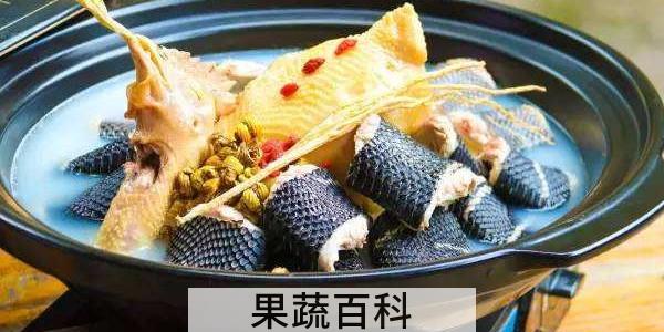 广东蛇煲鸡放什么药材