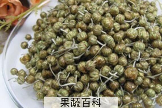 珍珠菊的功效与禁忌 珍珠菊为什么泡不开