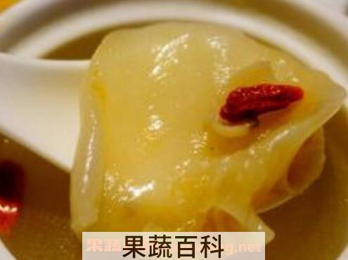鱼胶是什么 鱼胶的吃法