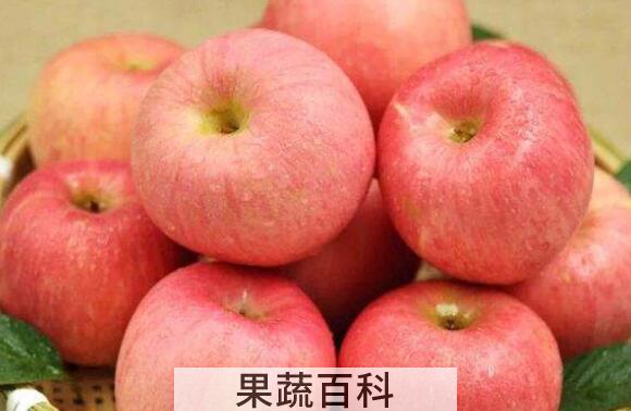 白皮苹果的功效与作用