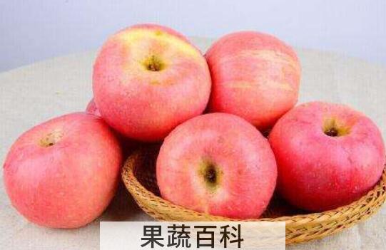 白皮苹果的功效与作用