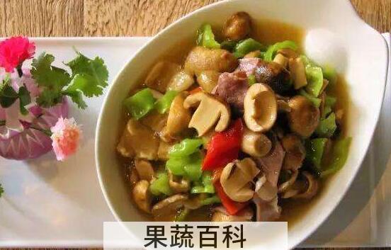 青头菌的功效与作用 青头菌怎么做好吃