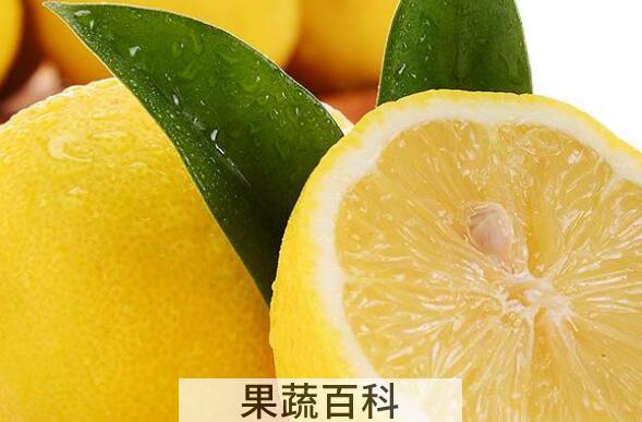 新鲜柠檬怎么吃最好