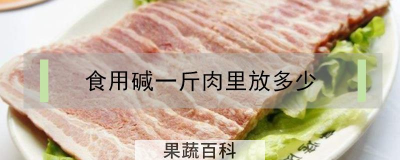 食用碱一斤肉里放多少