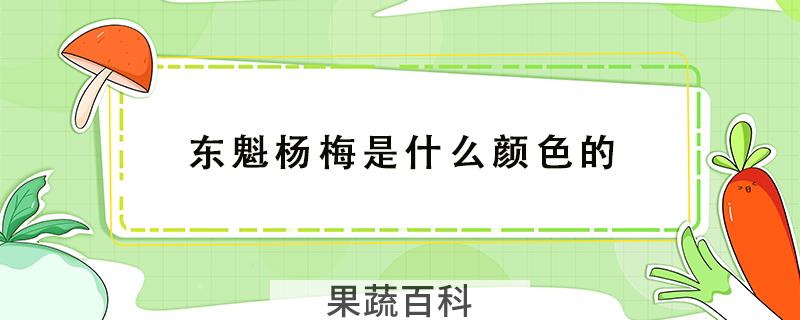 东魁杨梅是什么颜色的