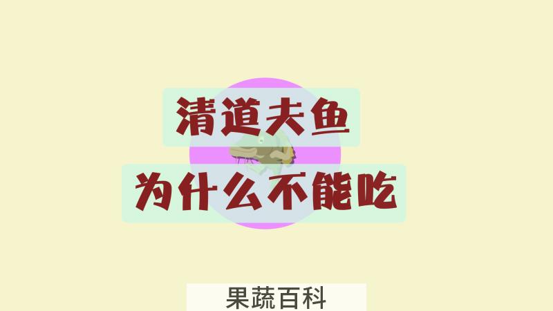 清道夫鱼为什么不能吃