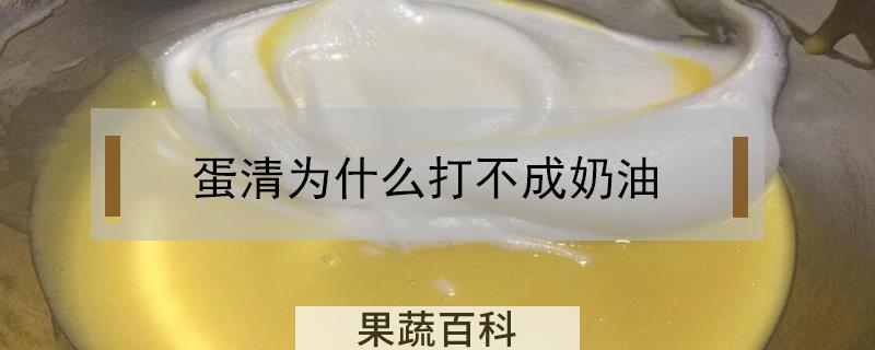 蛋清为什么打不成奶油