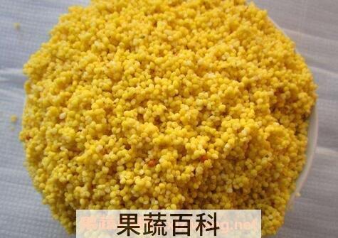 黄米与小米的区别 