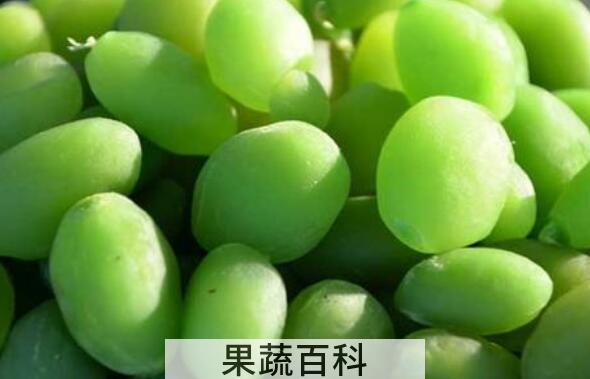青果的功效与作用 青果的禁忌