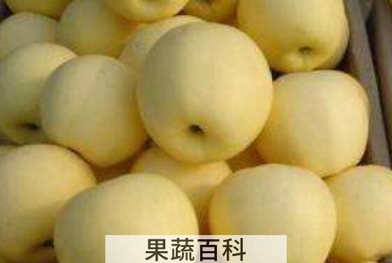 黄元帅的功效与作用