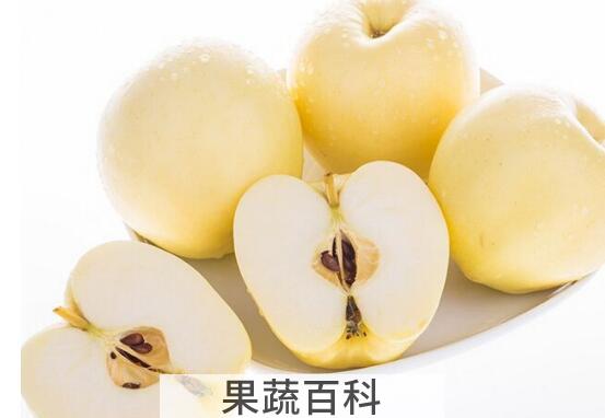黄元帅的功效与作用