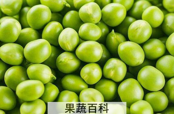 雪豆的功效与作用及禁忌