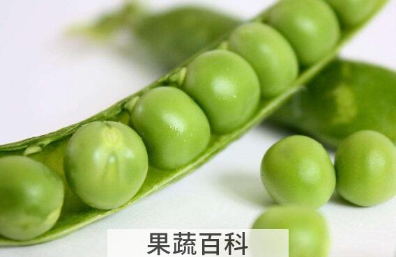 雪豆的功效与作用及禁忌