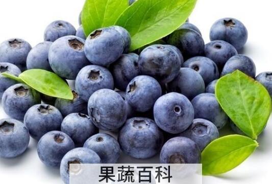 蓝莓怎么洗才干净