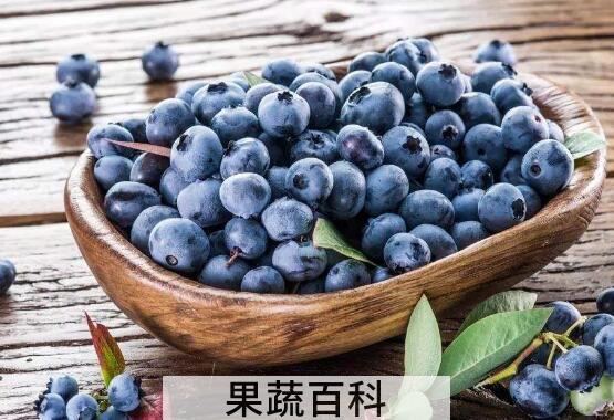 蓝莓怎么洗才干净
