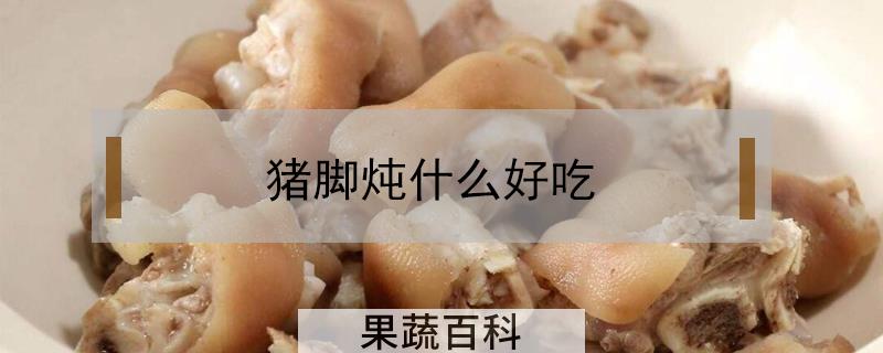 猪脚炖什么好吃