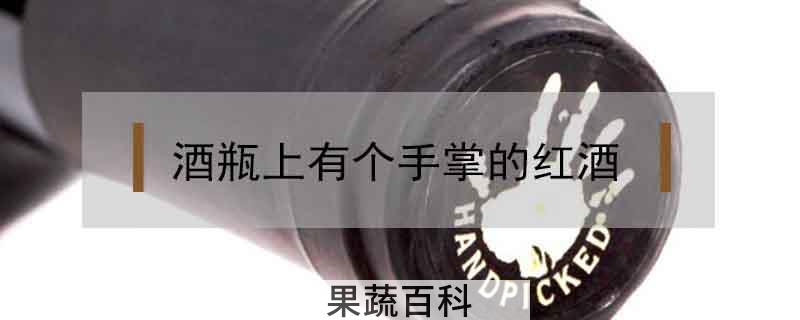 酒瓶上有个手掌的红酒