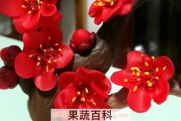 腊梅纯露的功效与作用 腊梅纯露的危害