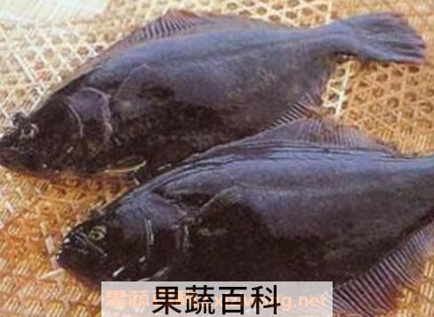 鼓眼鱼的功效与作用