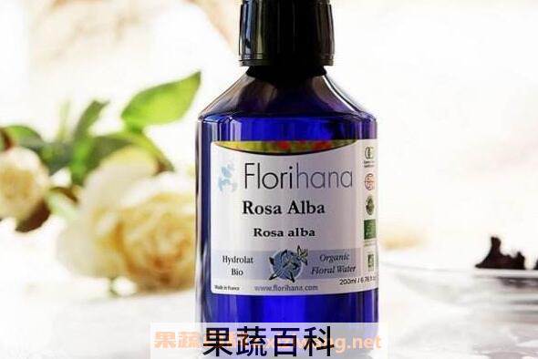 梅花纯露的功效与作用
