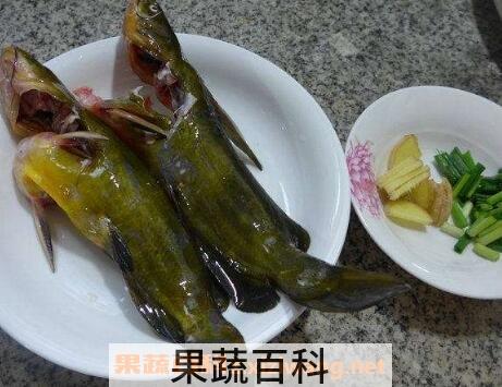 黄刺鱼的营养与功效