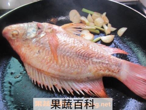 彩虹雕鱼的功效与作用